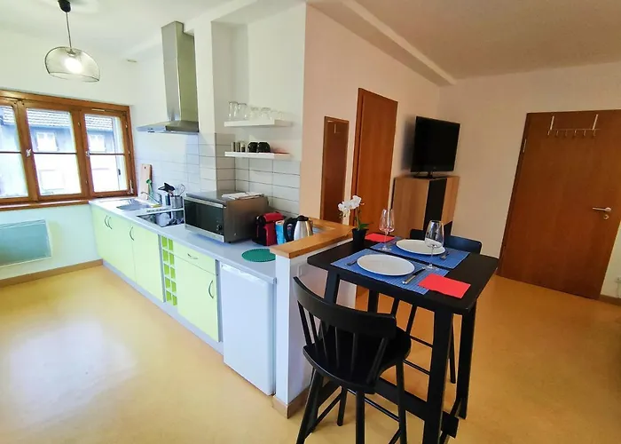 Lumineux Free Parking Nature Tt Equipe Apartment Thann